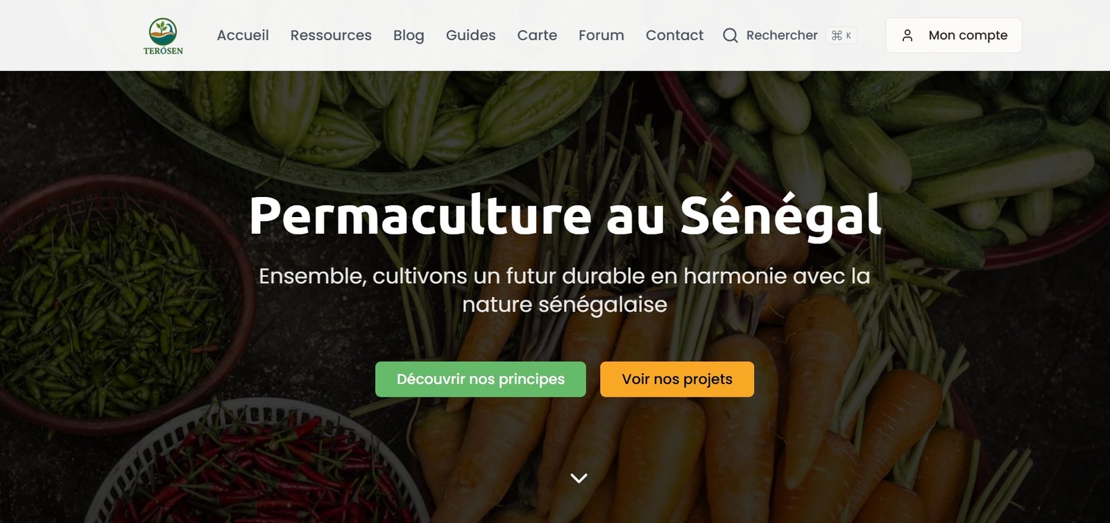 Permaculture au Senegal
